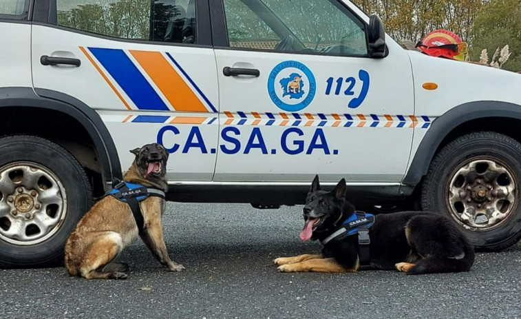 Un perro de Casaga, oro en la X edición del Europeo de bomberos y policías de Braga