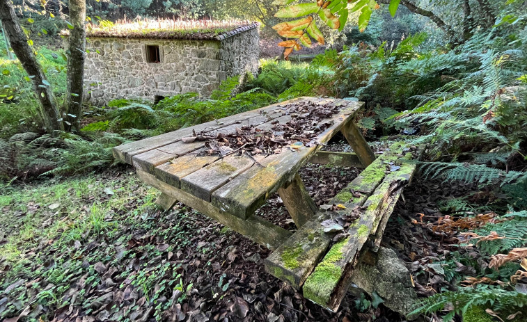 El Outono Naturalista de la SGHN propone una nueva ruta nocturna por Esmelle