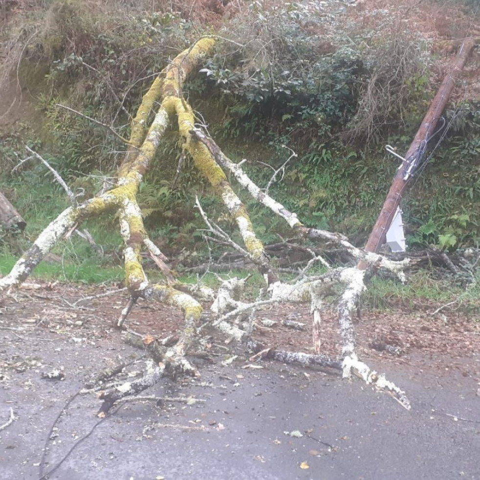 Los Bomberos talan un árbol caído sobre un poste telefónico que cortó el tráfico en As Somozas