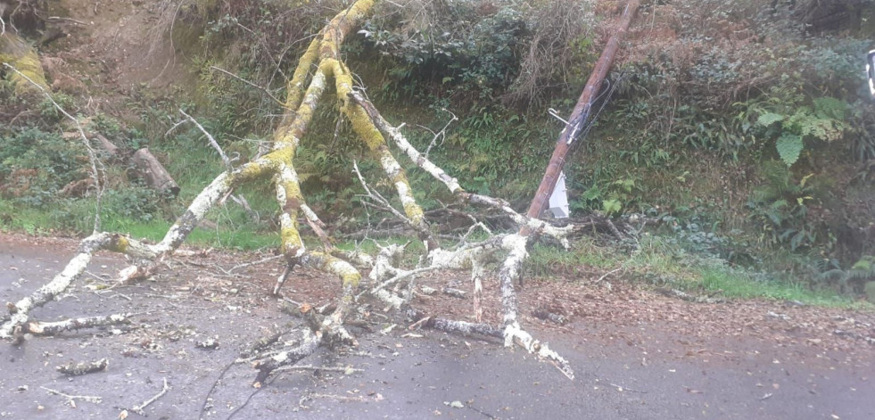 Los Bomberos talan un árbol caído sobre un poste telefónico que cortó el tráfico en As Somozas