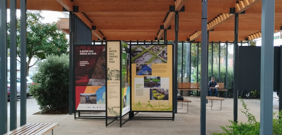 Una exposición en Cedeira ensalza el peso del sector marinero en la villa