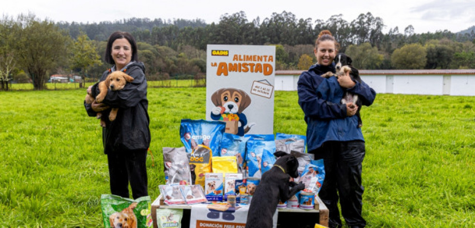 Gadis distribuye más de 80.000 kilos de productos entre 72 protectoras de animales