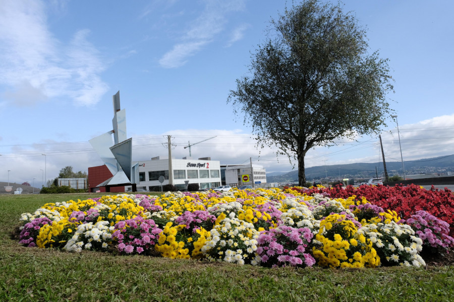 Ferrol desafía con tonos rosáceos, encarnados y blancos a los ocres otoñales