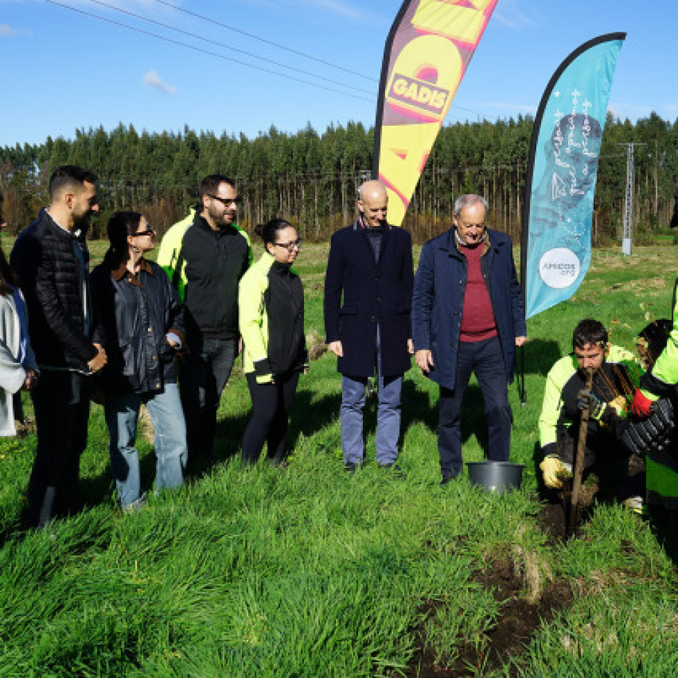 Gadis y Amicos reforestan un bosque con 300 árboles autóctonos