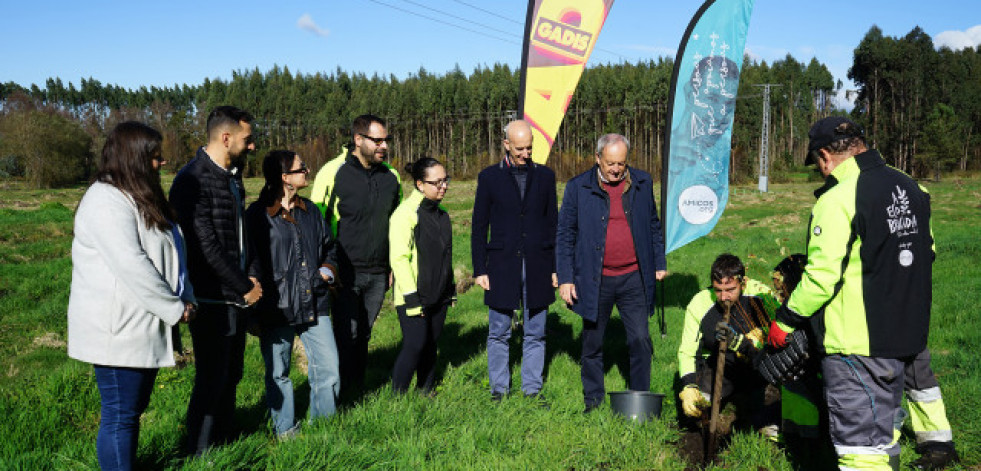 Gadis y Amicos reforestan un bosque con 300 árboles autóctonos