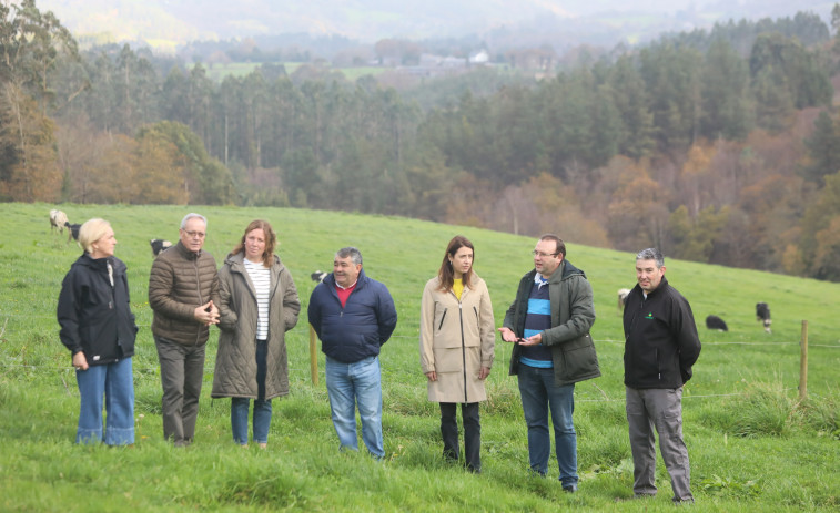 Nuevas ayudas autonómicas en 2025 para los agricultores y ganaderos ecológicos