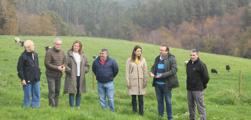 Nuevas ayudas autonómicas en 2025 para los agricultores y ganaderos ecológicos