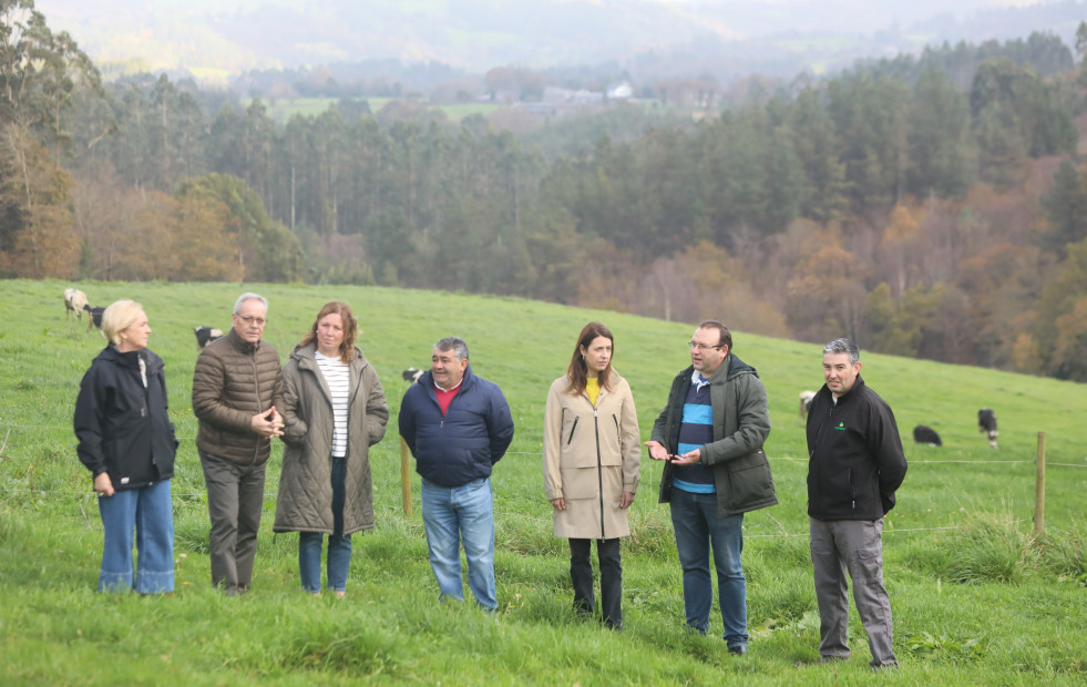 Nuevas ayudas autonómicas en 2025 para los agricultores y ganaderos ecológicos