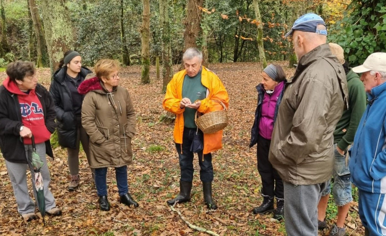 Las IV Xornadas Micolóxicas de Neda terminaron ayer con un recorrido por Maciñeira