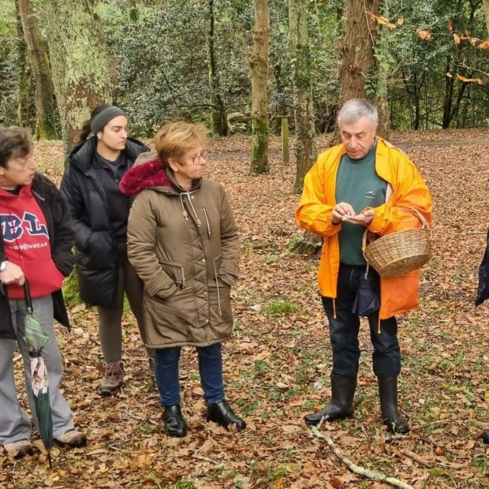 Las IV Xornadas Micolóxicas de Neda terminaron ayer con un recorrido por Maciñeira