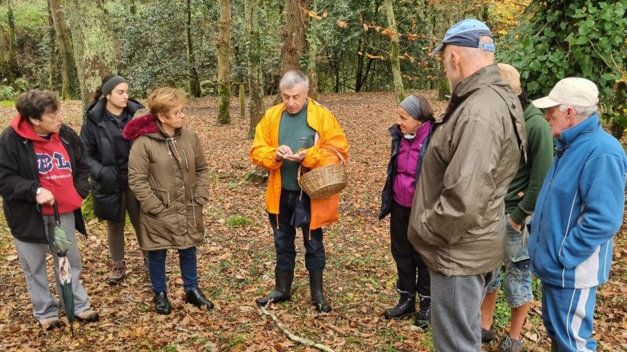 Las IV Xornadas Micolóxicas de Neda terminaron ayer con un recorrido por Maciñeira