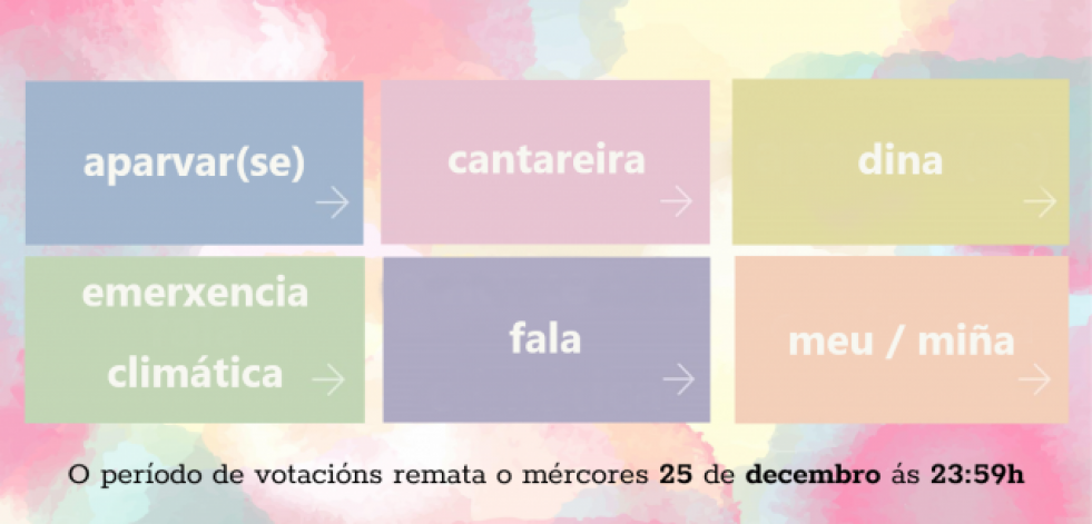 “Aparvar(se)”, “cantareira”, “dina”, “emerxencia climática”, “fala” e “meu”, finalistas na elección da Palabra do Ano 2024