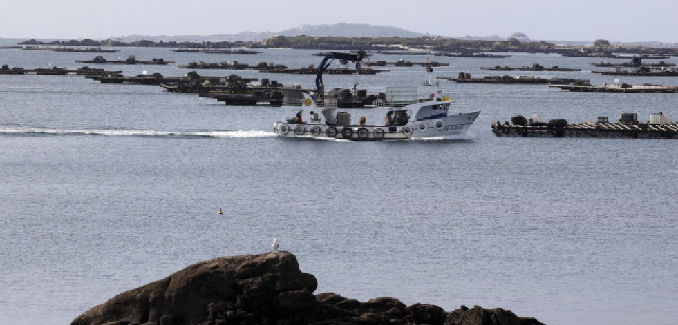 Rescatan un cuerpo sin vida en O Grove al hundirse un barco bateeiro