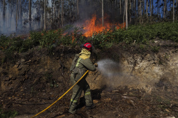 Incendio Forestal