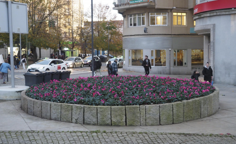 El gobierno local inicia el saneamiento de las jardineras que decoran la plaza de España