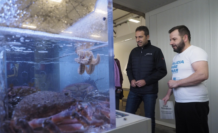 La Cofradía de Pescadores de Ferrol sorteará una “megacesta” en sus redes el día 30