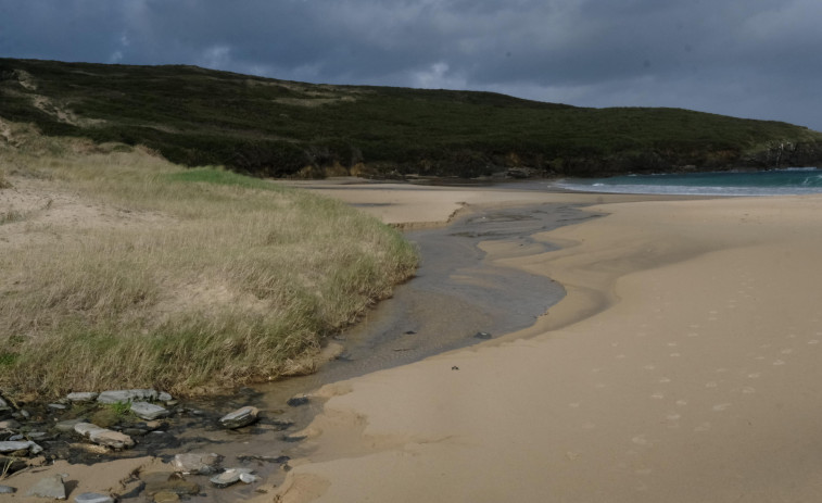 Localizan un arroaz muerto en el arenal de A Cristina, en la parroquia valdoviñesa de Meirás