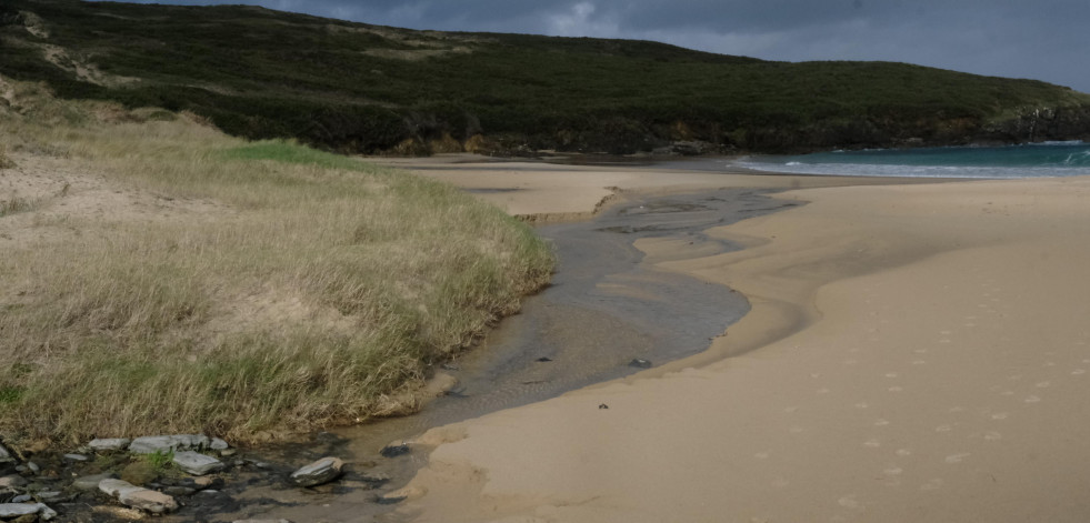 Localizan un arroaz muerto en el arenal de A Cristina, en la parroquia valdoviñesa de Meirás