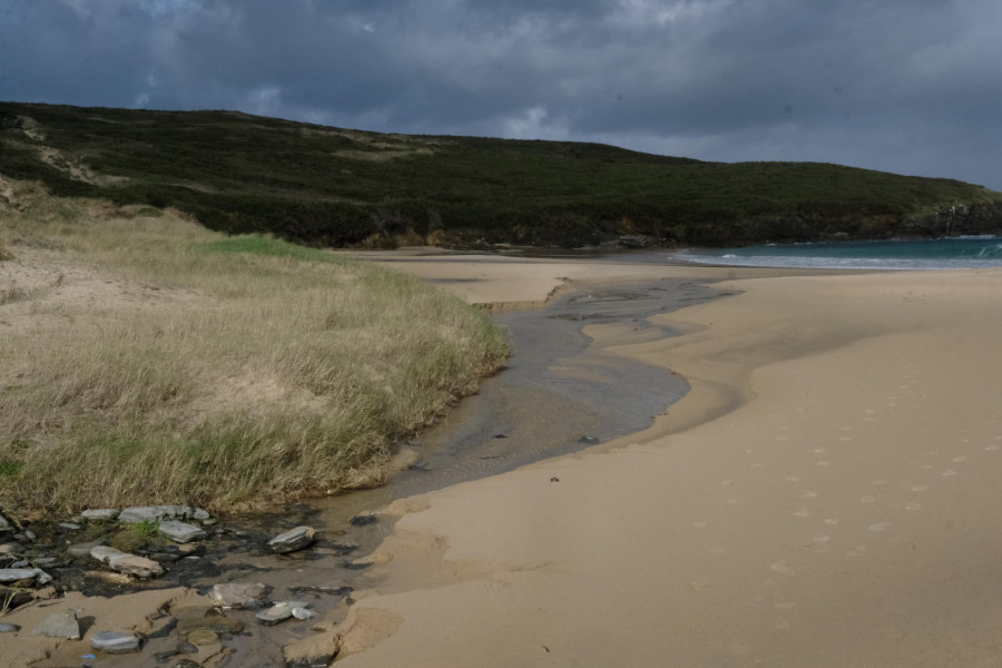 Localizan un arroaz muerto en el arenal de A Cristina, en la parroquia valdoviñesa de Meirás