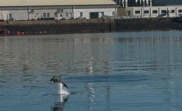 Una visita muy especial en el astillero de Ferrol