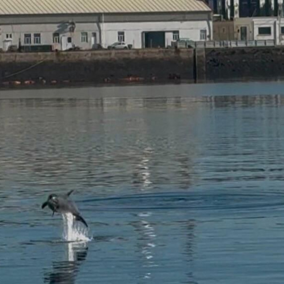 Una visita muy especial en el astillero de Ferrol