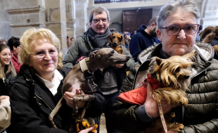 La tradicional bendición de mascotas llega este domingo a Ares y Fene