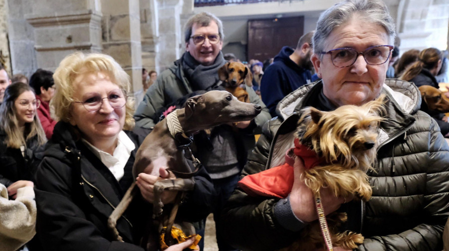 La tradicional bendición de mascotas llega este domingo a Ares y Fene