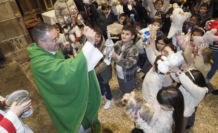 Búscate en la bendición de mascotas en Ares