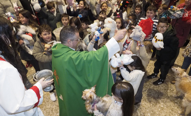 De la tortuga Miranda al pez Mandarinas: la bendición en Ares por San Antón llega a mascotas y peluches