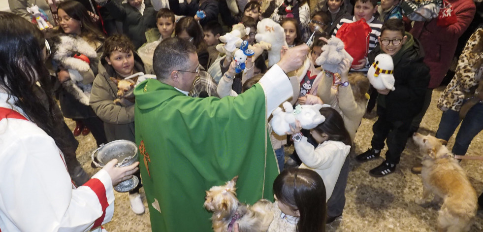 De la tortuga Miranda al pez Mandarinas: la bendición en Ares por San Antón llega a mascotas y peluches