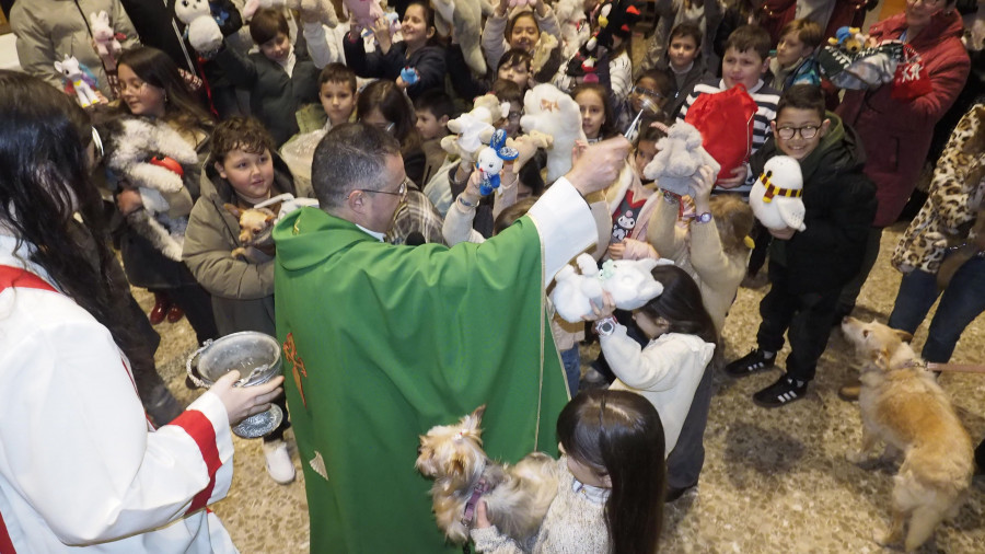 De la tortuga Miranda al pez Mandarinas: la bendición en Ares por San Antón llega a mascotas y peluches