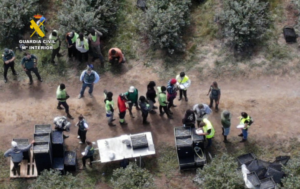 Investigadas tres personas por la contratación de temporeros en situación irregular en una explotación agrícola de Lugo