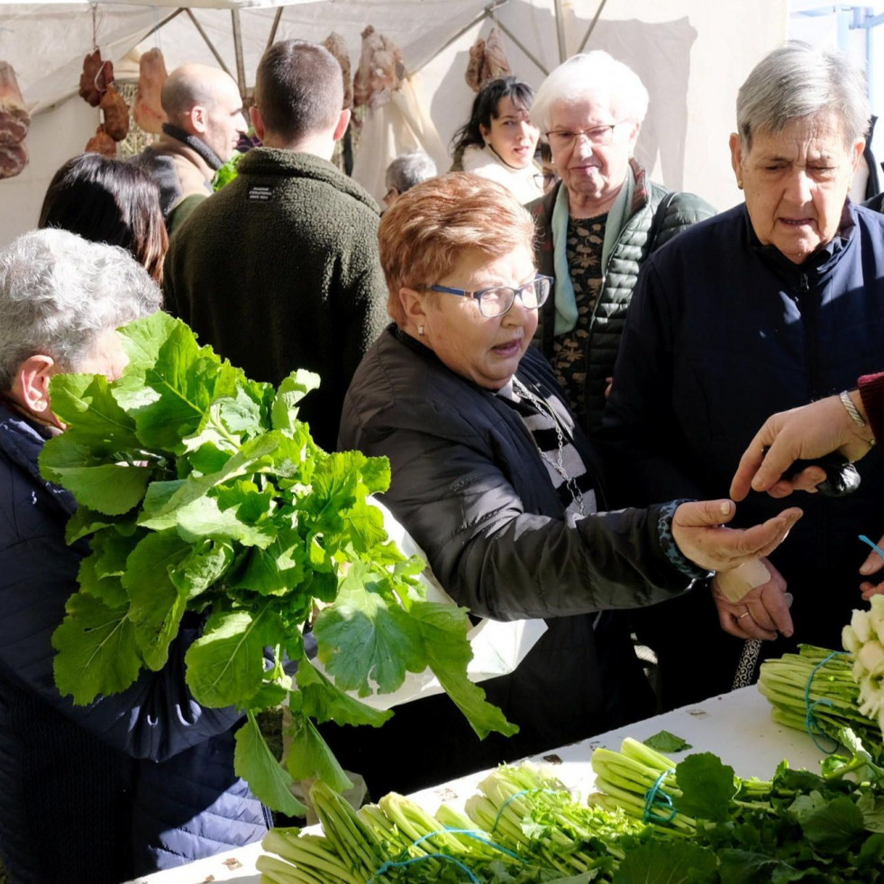 O grelo do Val de Xestoso: un tesouro verde que se celebra en febreiro