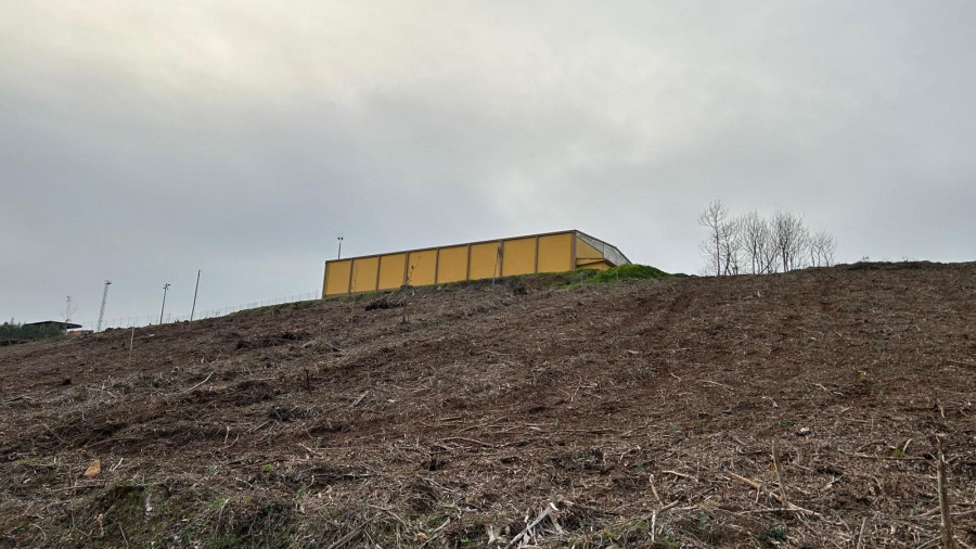 Raíces de conocimiento: el aula al aire libre del CEIP da Barqueira de Cerdido