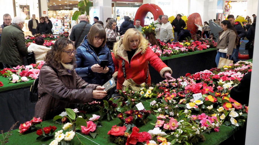 Narón presume un año más de arte floral abriendo su exitosa XIX Mostra da Camelia en Odeón