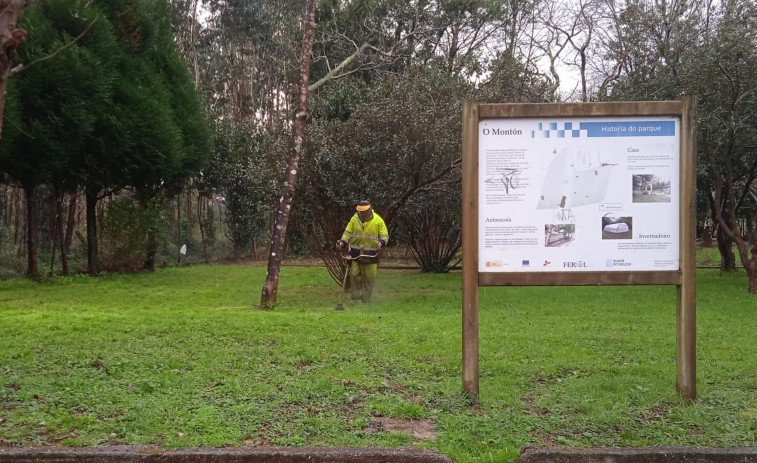 FOTONOTICIA | La Asociación Vecinal de Caranza agradece los desbroces para mantener el parque de O Montón