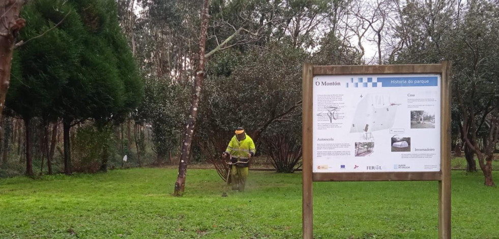 FOTONOTICIA | La Asociación Vecinal de Caranza agradece los desbroces para mantener el parque de O Montón