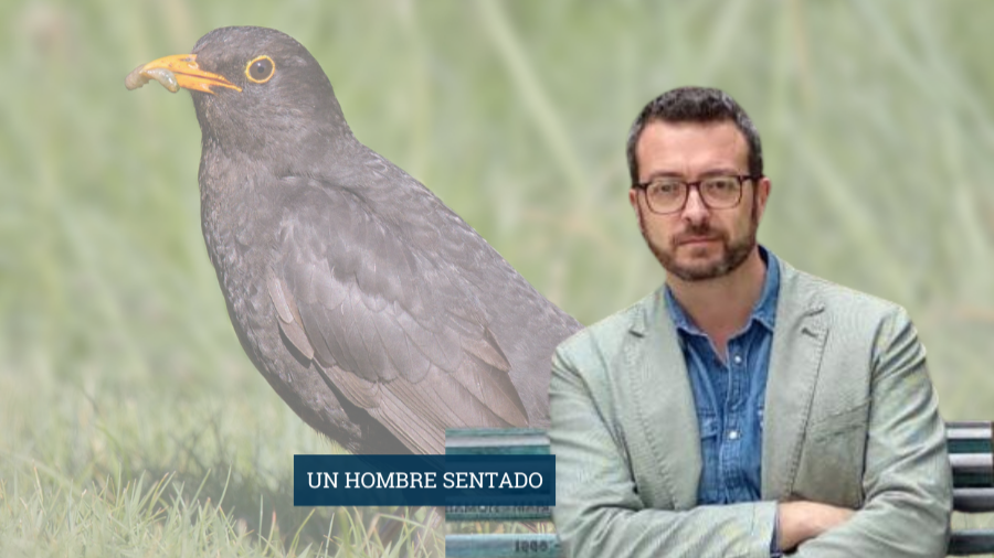 UN HOMBRE SENTADO | Blackbird