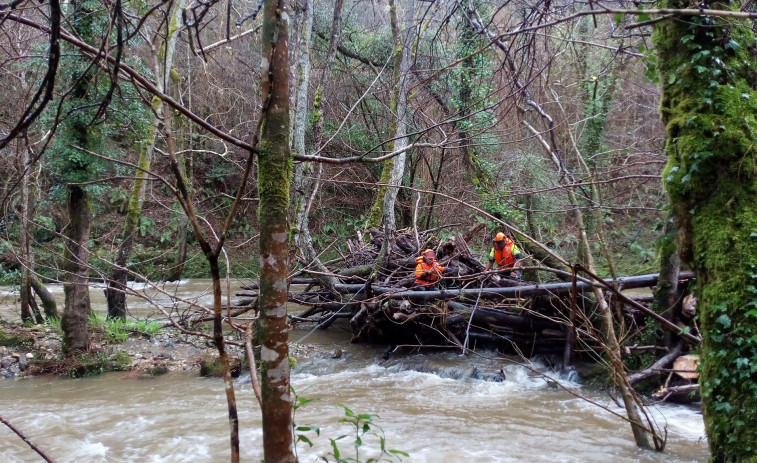 Augas de Galicia limpia 9,5 km de ríos en el municipio de Ortigueira