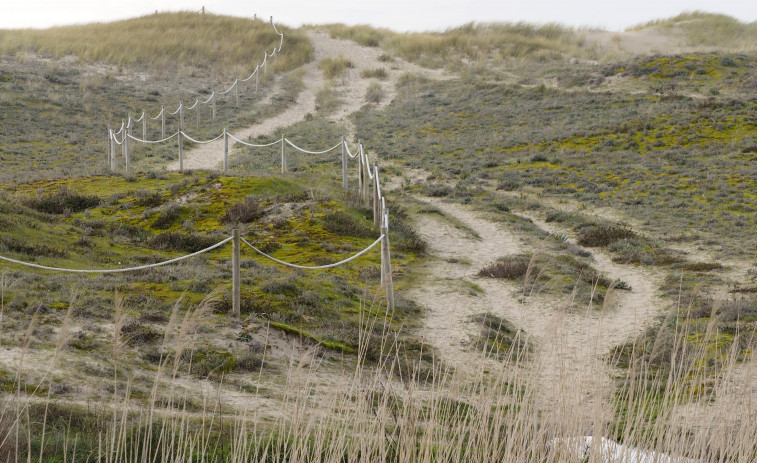 Demarcación de Costas actuará en la playa de San Xurxo, en Ferrol, para conservar el sistema dunar