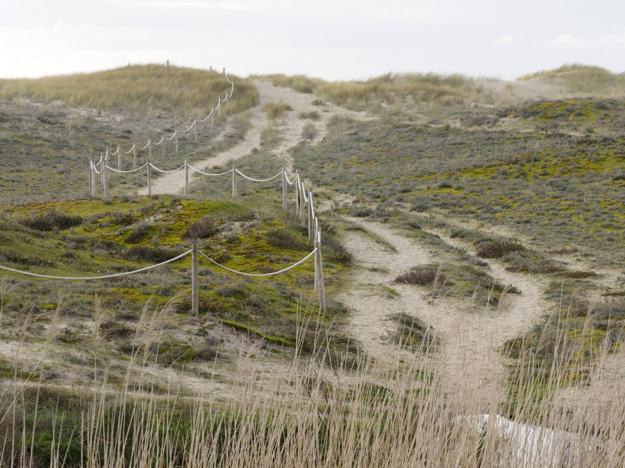 Demarcación de Costas actuará en la playa de San Xurxo, en Ferrol, para conservar el sistema dunar