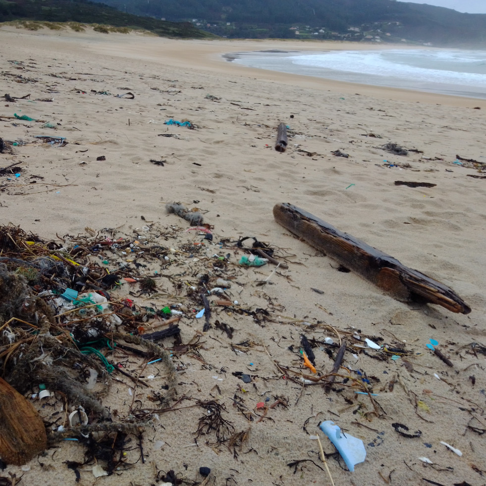 La SGHN y Mar de Fábula organizan una jornada de limpieza en la playa de Doniños