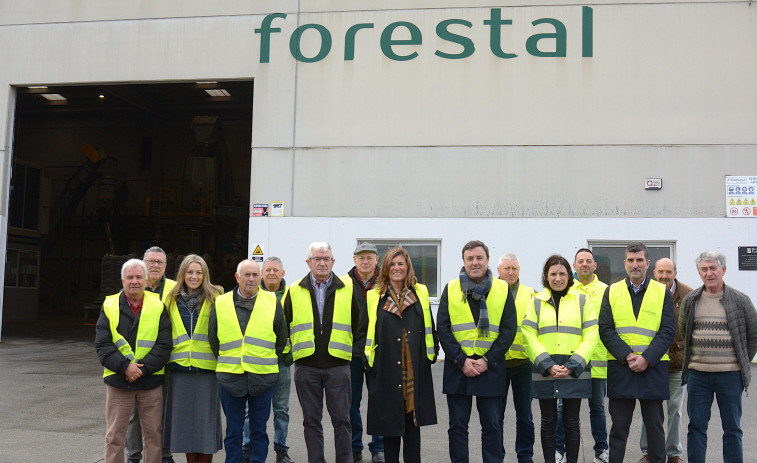 O sector forestal sostén 400 empregos nas Pontes, sétimo municipio na corta de madeira