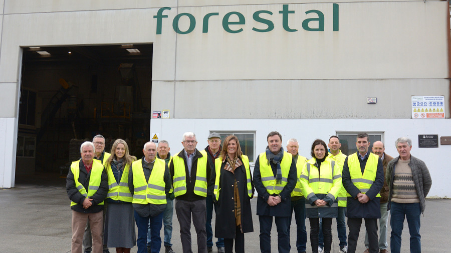 O sector forestal sostén 400 empregos nas Pontes, sétimo municipio na corta de madeira