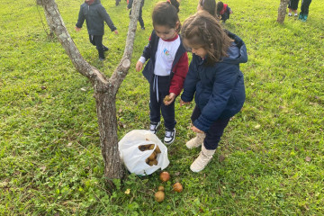 En la etapa de Educación Infantil se realizan actividades globalizadas