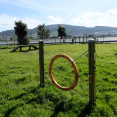 Parque canino a gándara DA