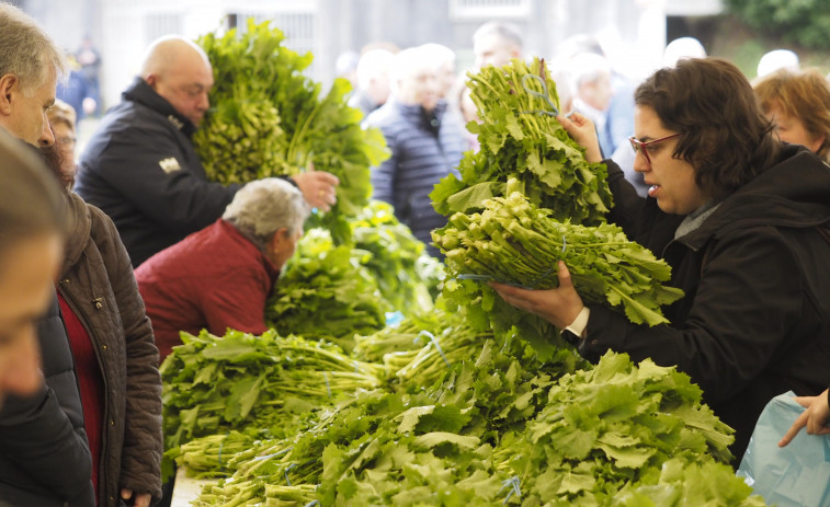 Mil raciones del ‘oro verde’ de Monfero: la Feira do Grelo firma un éxito de público y ventas en Xestoso