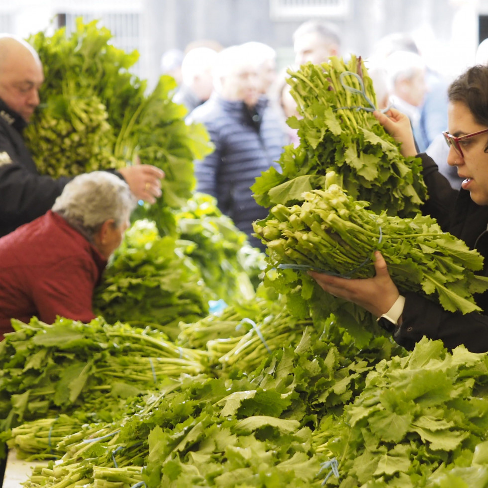 Mil raciones del ‘oro verde’ de Monfero: la Feira do Grelo firma un éxito de público y ventas en Xestoso