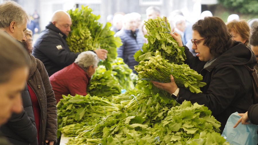 Mil raciones del ‘oro verde’ de Monfero: la Feira do Grelo firma un éxito de público y ventas en Xestoso