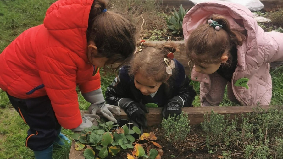 Conciliación y proyecto, las preferencias de los progenitores para elegir colegio en Ferrol